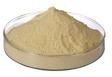 soya protein hydrolysate powder