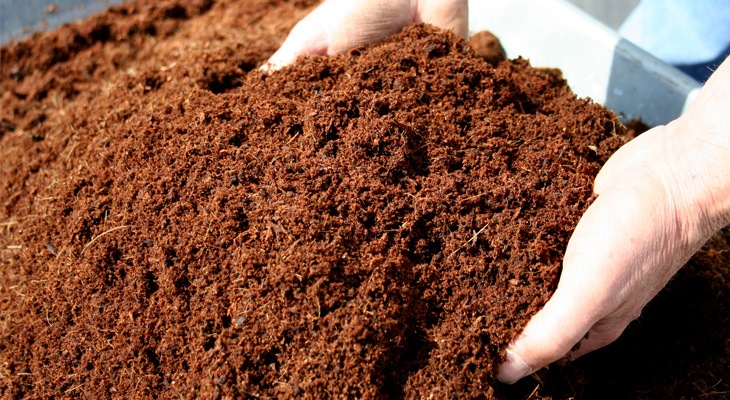 Coir Pith Powder