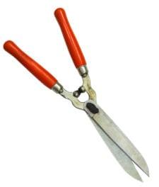 Sterilizing Pruning Tool