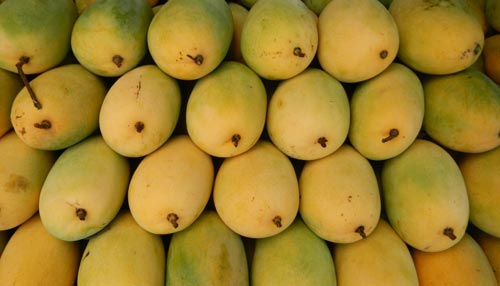 Fresh Malda Mango