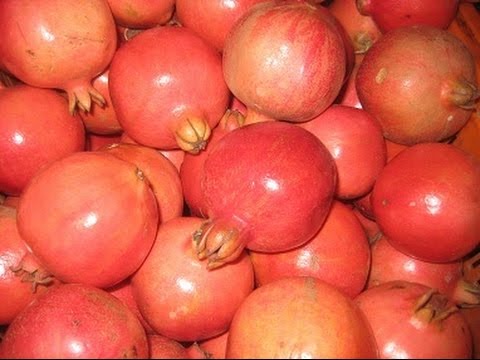 Pomegranate 01