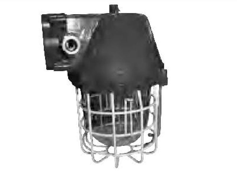 FAFLPWG01-30L Flameproof Light