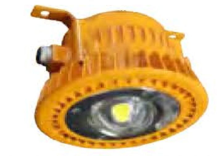 FAFLPWG0250 Flameproof Light