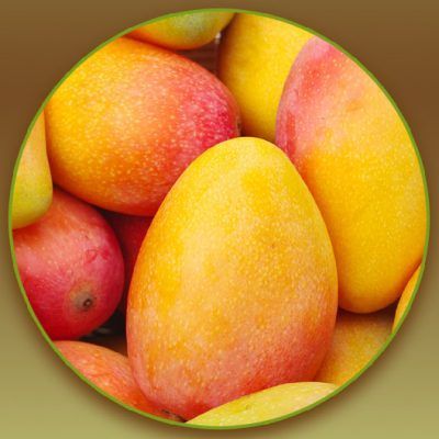 Mango Flavour Blunts Rolls 01