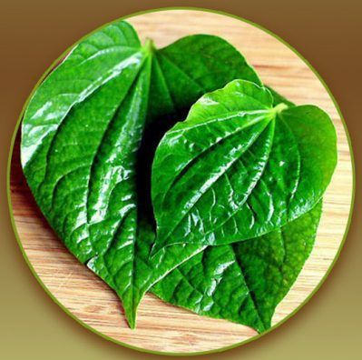 Paan Flavour Blunts Rolls 01