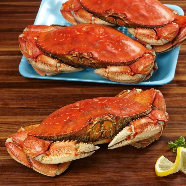 Frozen Crabs