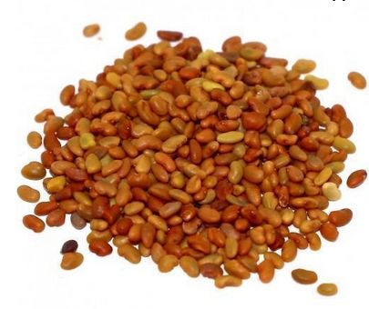 Velimasal Seeds