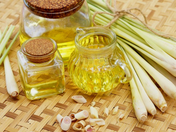 Lemongrass Oil Manufacturers In India