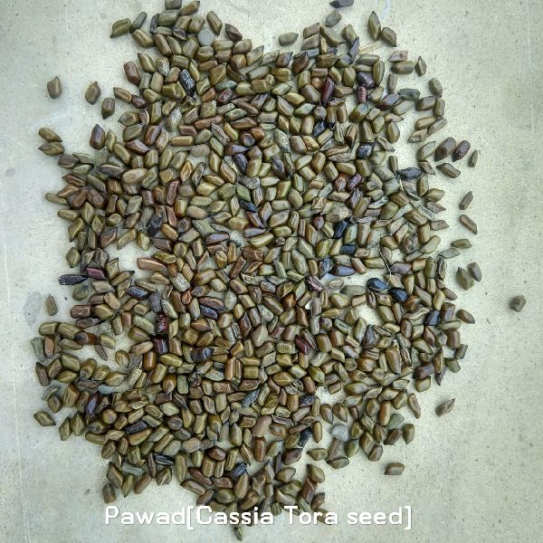 Pawad Seeds