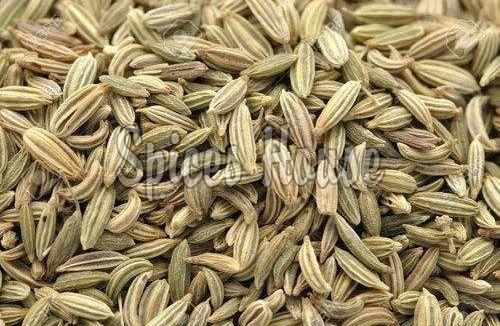 Raw Fennel Seeds
