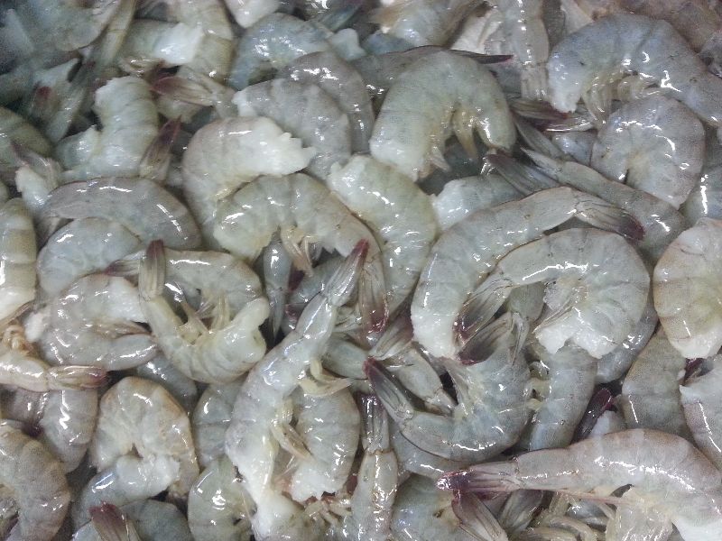 Vannamei Shrimp Hoso