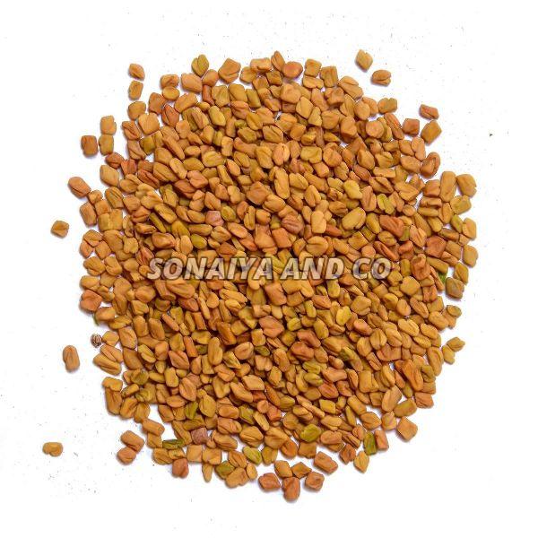 Indian Fenugreek Seeds
