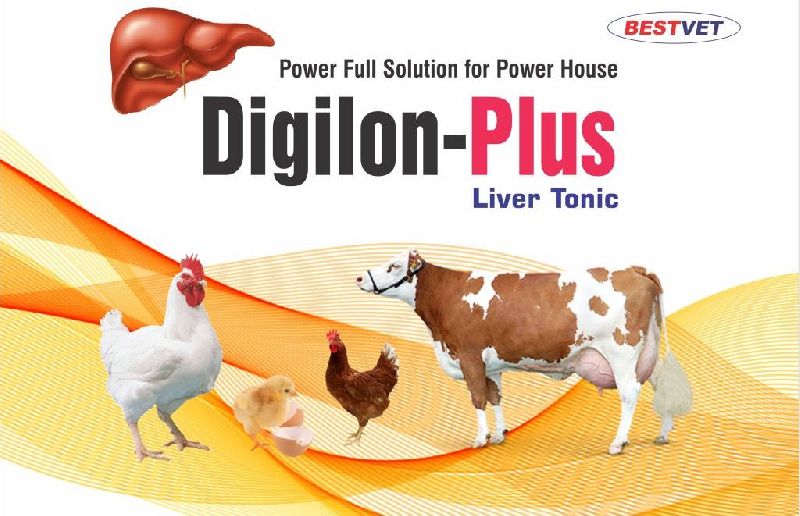Digilon Plus Liver Tonic Animal Feed Supplement Manufacturer Exporter in  Saharanpur India