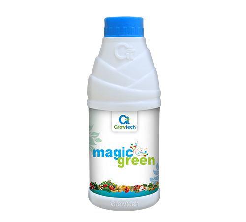 Magic Green Amino Acid Fertilizer