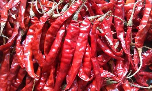 Dried Red Chilly
