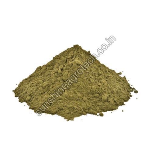 High Quality Sonamukhi Powder
