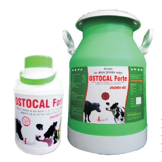 Ostocal Forte