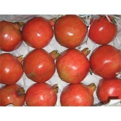 Bhagwa Pomegranate