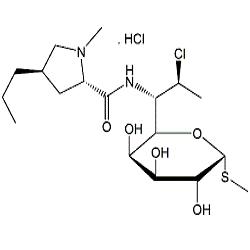Clindamycin HCl