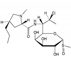 Clindamycin Sulfoxide