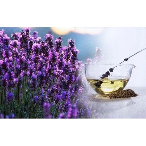 Lavender Agarbatti Fragrance