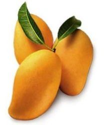 Fresh Kesar Mango