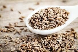 Dried Cumin Seeds