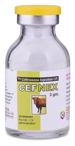 Cefnex Injection