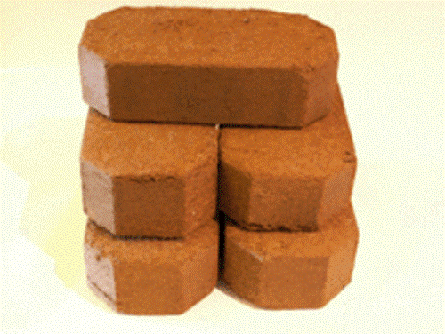 Coco Peat Briquette