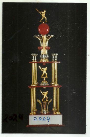 Custom Cricket Trophy