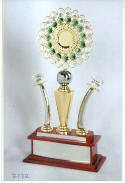Metal Cricket Trophy