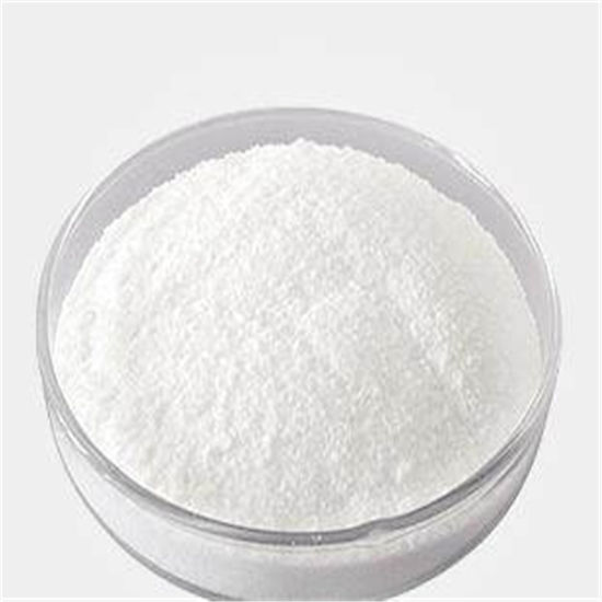 L Carnitine Base Powder Manufacturer Supplier in Ahmedabad India