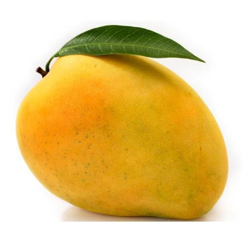 Fresh Natural Mango