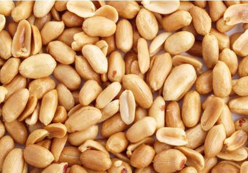 Brown Peanut Kernels