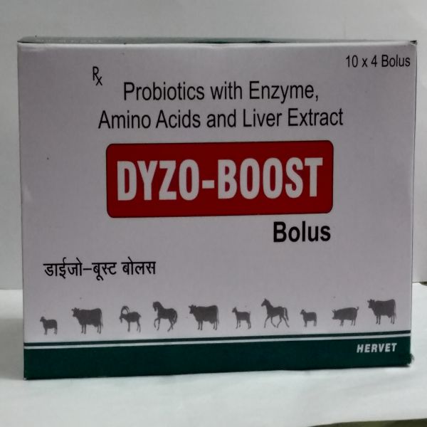 Dyzo-Boost Bolus