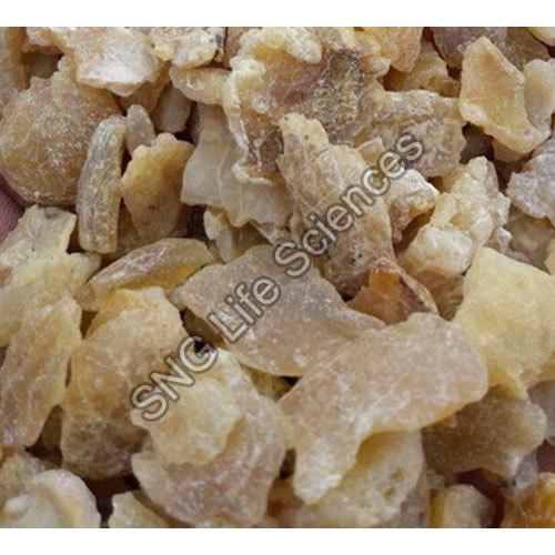 Organic Asafoetida