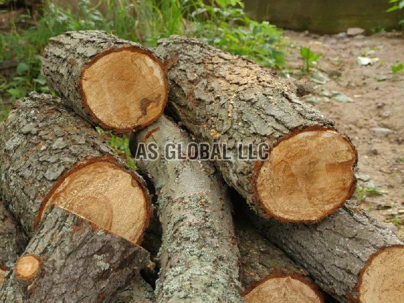 Alder Wood Logs