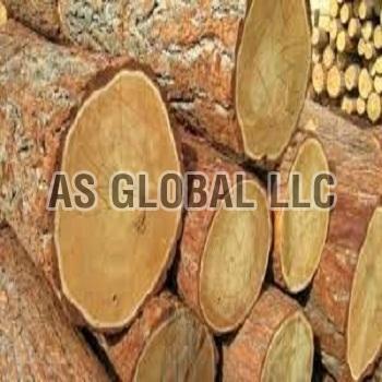 Larch Wood Logs
