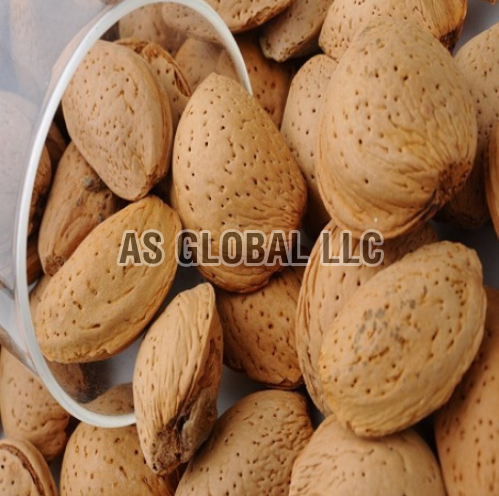 Shelled Almonds