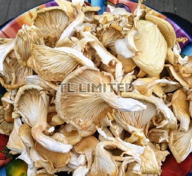 Natural Dry Oyster Mushroom