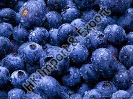 Fresh Blueberry