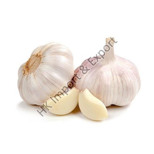 Fresh Garlic