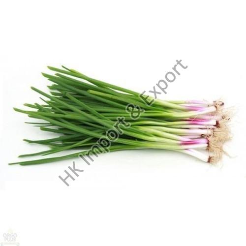 Fresh Spring Onion
