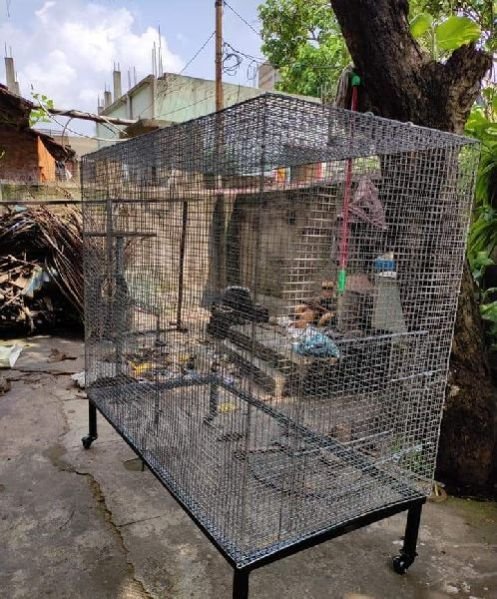 cheap large bird cages