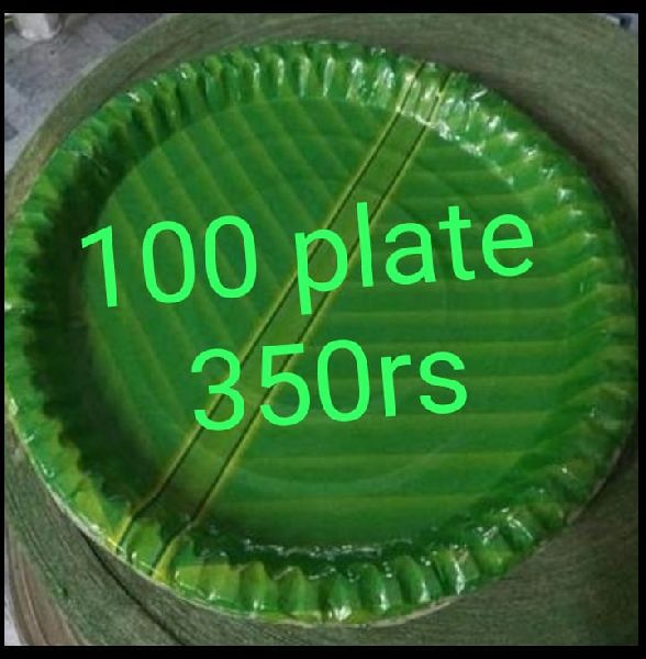 12 Inch Green Paper Plates
