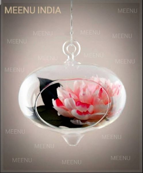 Borosilicate Glass Decorative Hanging Flower Planter