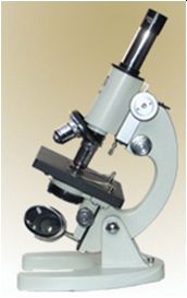 Microscope (GE-32)