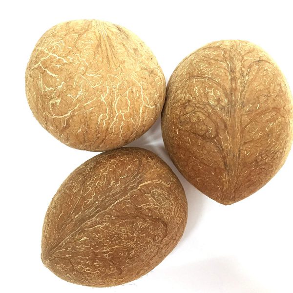 Dried Coconut  Ball Copra