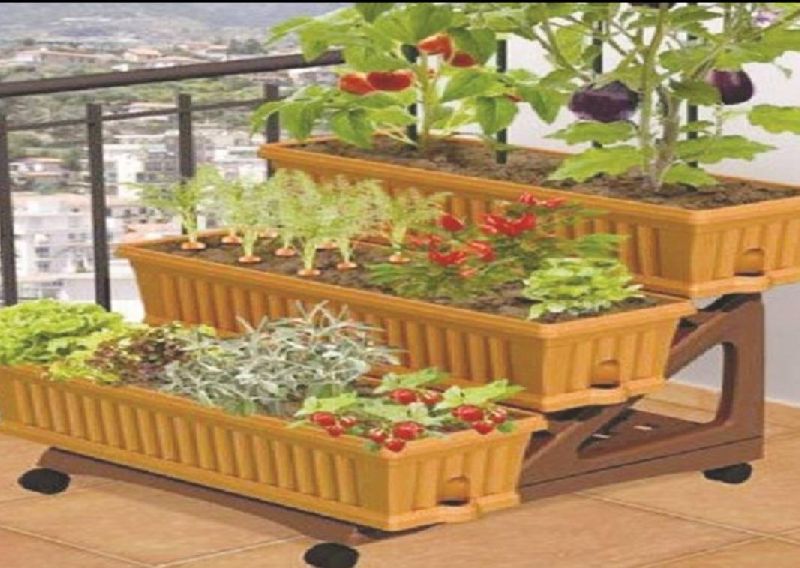 Rooftop Garden Plant Kit