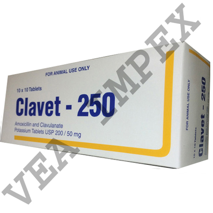 Clavet-250 Tablets